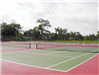 Shelden Park Tennis Courts