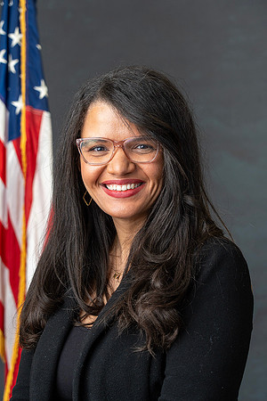 Carrie Budzinski, Council Member