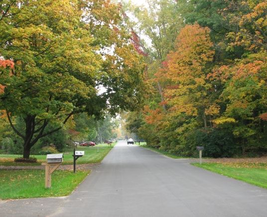 Neighborhood Street in Fall