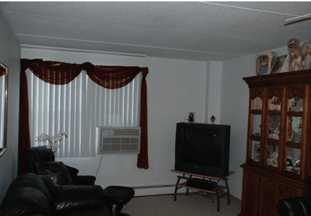 Television in a living area