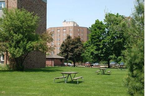 Picnic tables