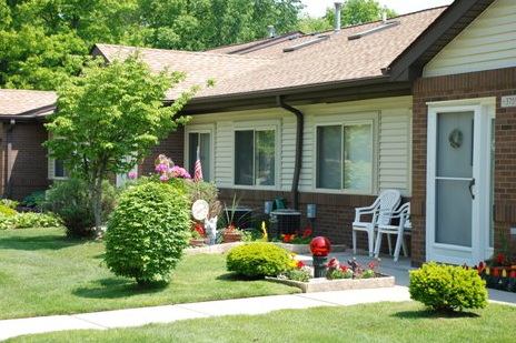 Yard and landscape decorations and bushes