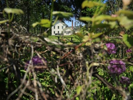 Hill House Through the Bush
