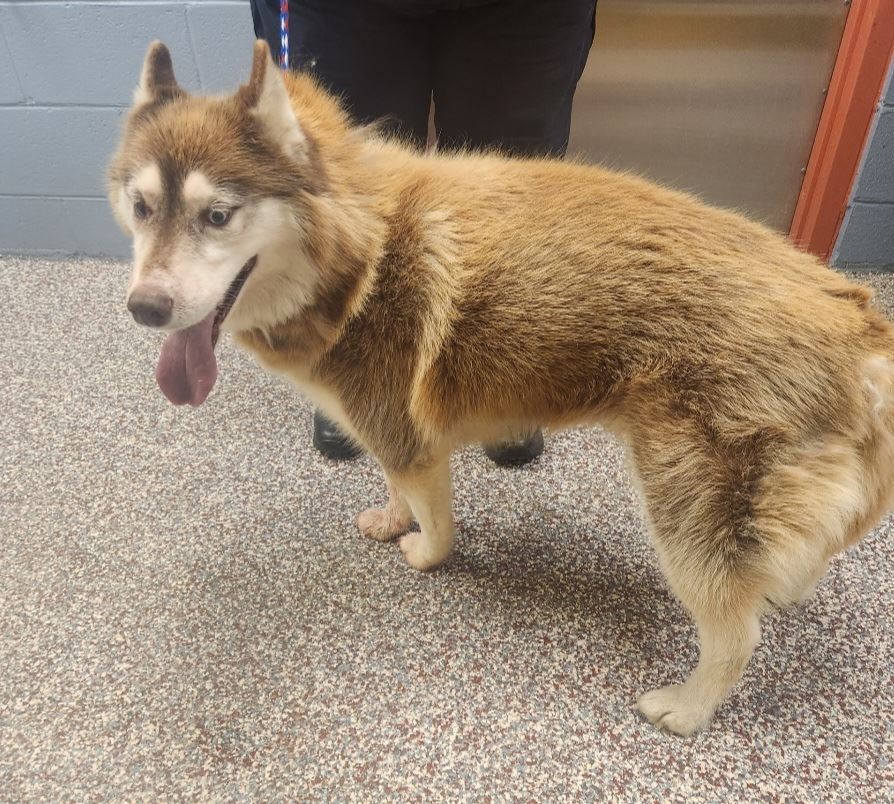 Resized_Resized_20221006_105023(1)