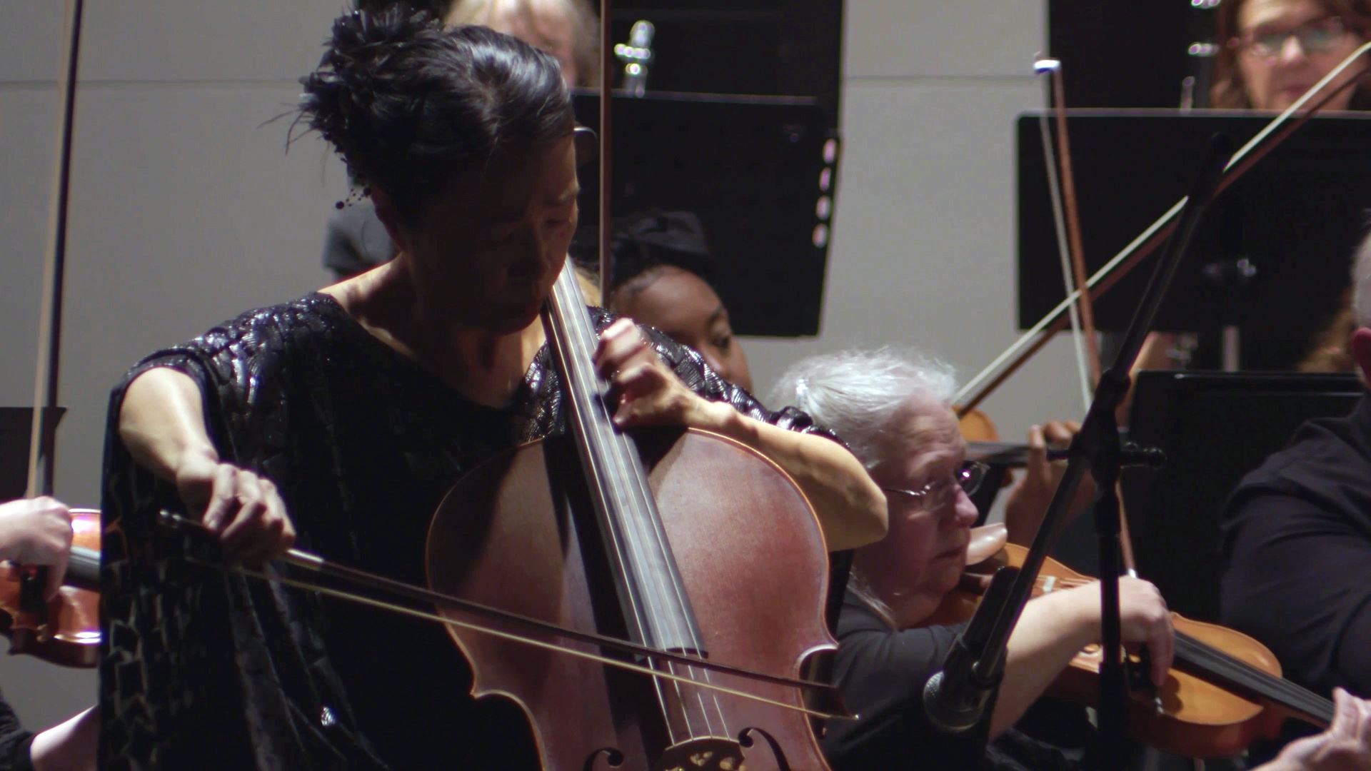 Livonia Symphony Orchestra performing on stage