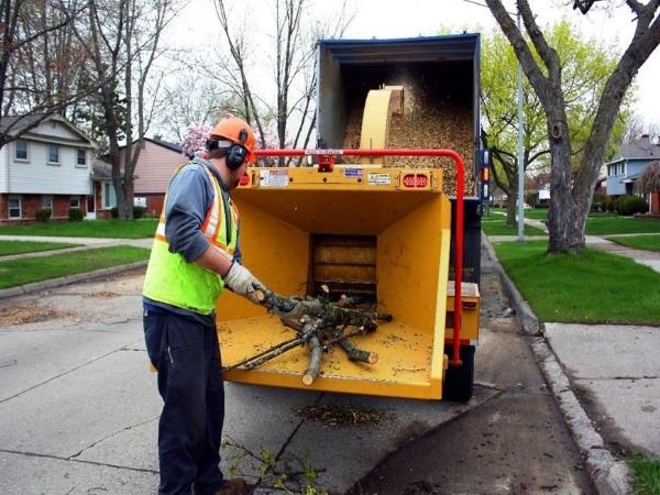 406Brush-Branch-Collection